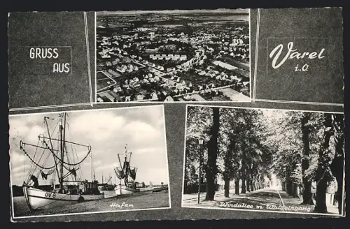 AK Varel i. O., Teilansicht, Hafen, Windallee mit Waldeingang