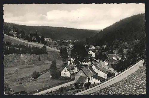 AK Altenau /Oberharz, Teilansicht mit Strassenpartie