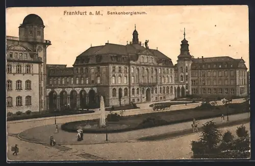 AK Frankfurt-Westend, Senkenbergianum mit Fontäne