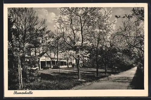 AK M.-Gladbach, St. Franziskusheilstätte Windberg