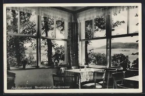 AK Bad Senkelteich, Fernblick a. d. Kurterrasse