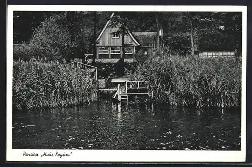 AK Nieder-Kleveez üb. Plön, Pension Haus Regina, Inh. Ella Regina Siebert