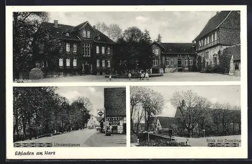 AK Schladen, Blick zur Domäne, Lindendamm