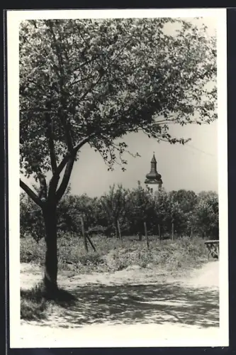 Foto-AK Schwerstedt / Weimar, Blick zur Kirche