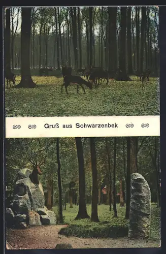 AK Schwarzenbek, Hochwild im Wald, Denkmal mit Hirschkopf