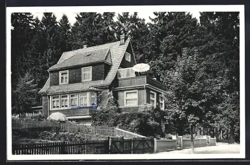 AK Braunlage /Harz, Gasthof Haus Wald-Eck, Waldweg 8