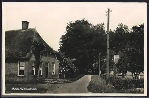 AK Mooi-Westerbork, Strassenpartie mit Reetdachhaus