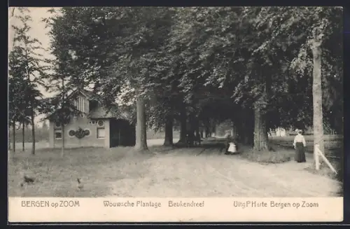 AK Bergen op Zoom, Wouwsche Plantage, Beukendreef