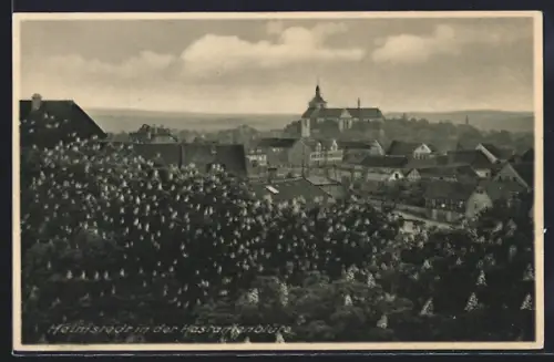 AK Helmstedt, Ortsansicht in der Kastanienblüte