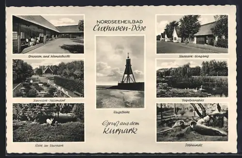 AK Cuxhaven-Döse, Kurpark, Brunnen, Wandelhalle, Seehunde