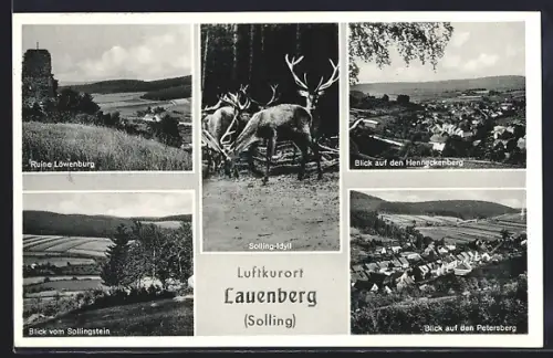 AK Lauenberg /Solling, Ruine Löwenburg, Petersberg, Henneckenberg