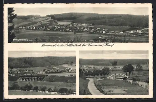 AK Billerbeck / Harz, Ortsansicht, Strasse mit Brücke