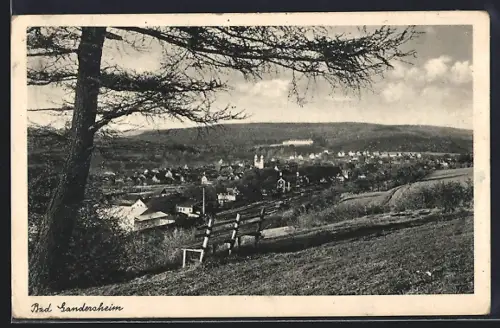 AK Bad Gandersheim, Totalansicht mit Kirche