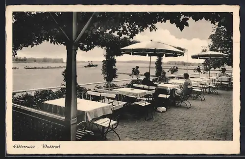 AK Wussegel-Hitzacker, Restaurant Elbterrasse, Gartenlokal