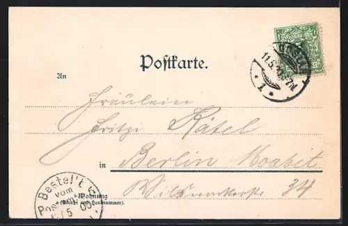 AK Goslar, Kaiserhaus mit Parkweg