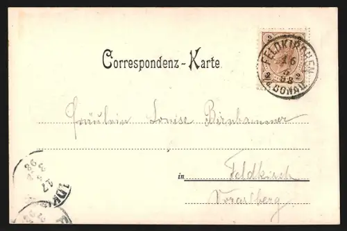 Lithographie Mühllacken, A. Zieglers Eisenbad, Hotel-Garten, Julius Quelle, Ruine Ob. Wallsee