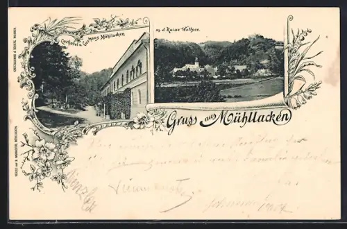 AK Mühllacken, Curhotel und Curhaus, Blick zur Ruine Wallsee