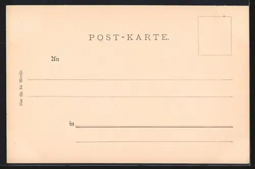 AK Sarmingstein, Ortsansicht, Dampfer Marie Valerie