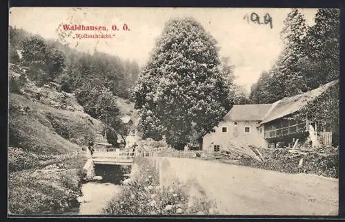 AK Waldhausen, Häuser und Brücke in der Wolfsschlucht