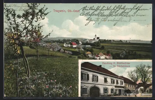 AK Tragwein /Ob.-Oest., Handlung H. Mistlbachner, Dr. Dückelmann, Ortsansicht