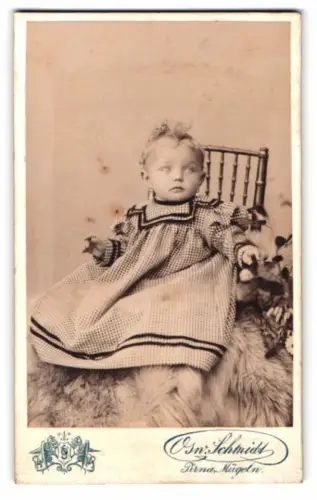 Fotografie Osw. Schmidt, Pirna, Liesel als Kleinkind in kariertem Kleid
