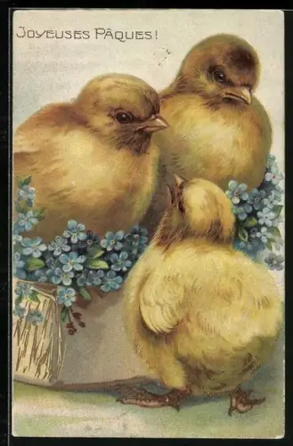Lithographie Osterküken mit Vergissmeinnicht, Joyeuses Paques