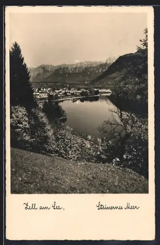 AK Zell am See, Teilansicht mit Steinernem Meer