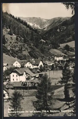 AK Turnau, Au bei Aflenz, Ortsansicht mit Blick in die Berge