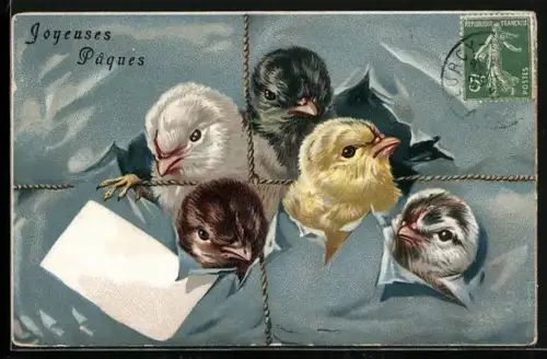AK Osterküken platzen aus einem Paket, Joyeuses Paques