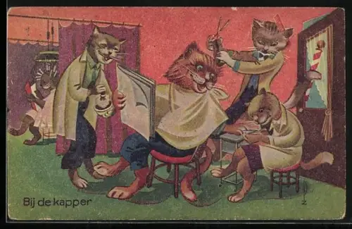 AK Katze wird im Friseursalon mit Maniküre und Haarschnitt verwöhnt, vermenschlichte Tiere
