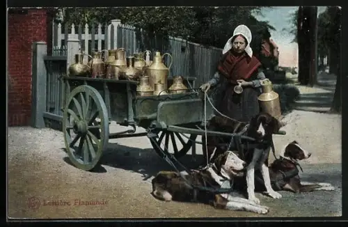 AK Verkäuferin steht neben ihrem rastenden Hundegespann