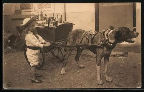 AK Milchwagen mit Hundegespann, Knirps hält die Zügel in der Hand