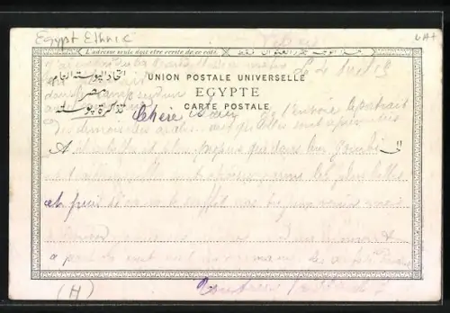 AK Egypte, Jeunes marchandes de cannes a sucre