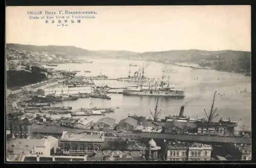 AK Vladivostock, Birds of Eye View