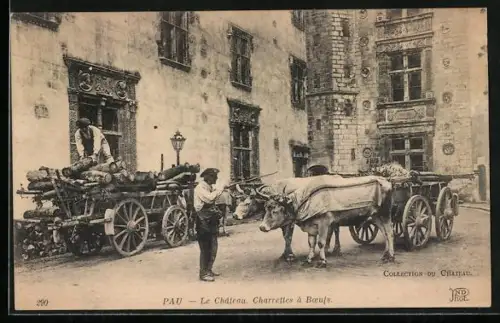 AK Pau, Le Chateau Charrettes a boeufs