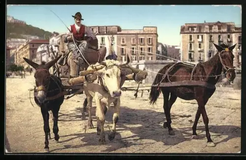 AK Neapel / Napoli, Bauer mit Esel-Ochsen-Pferde Karren