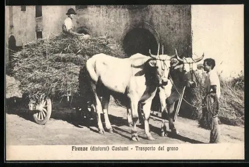 AK Firenze / Florenz, Trasporto del grano, Ochsenkarren