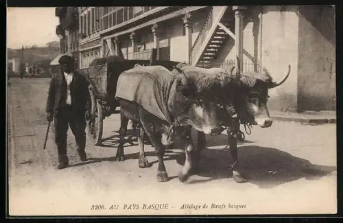 AK Au pays Basque, Attelage de Boeufs basques, Ochsengespann im Ort