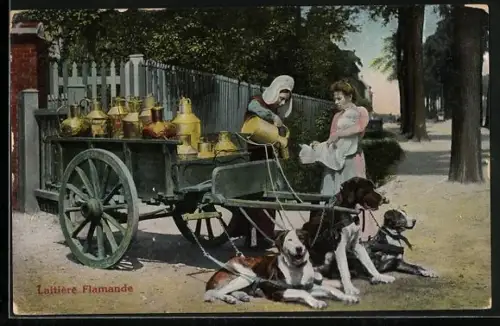 AK Laitière Flamande, flämische Milchfrauen mit Hundegespann