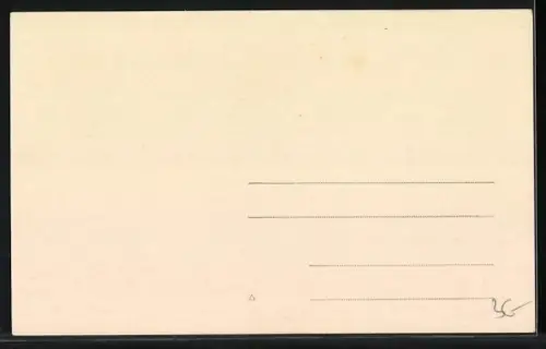 AK Constantinople, Mosquee de Sulemanie