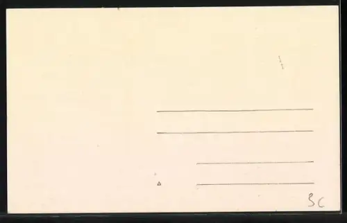 AK Constantinople, Mosquee de Sulemanie