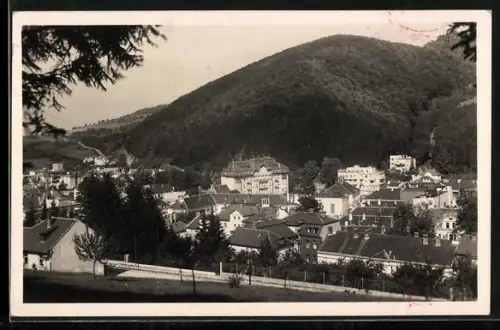 AK Trenc, Teplice, Panorama