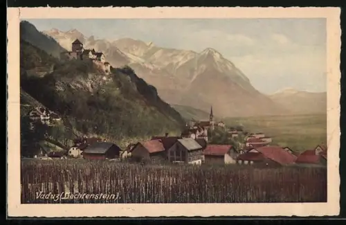 AK Vaduz, Ortsansicht