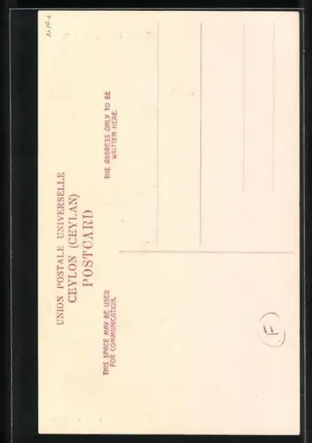 AK Ceylon, Tamil Bride