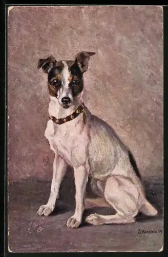 Künstler-AK Fox-Terrier mit Halsband