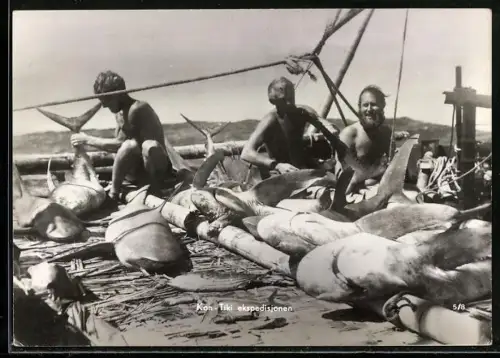 AK Oslo, Kon-Tiki Museum, Expedition Kon-Tiki 1947, A day`s catch