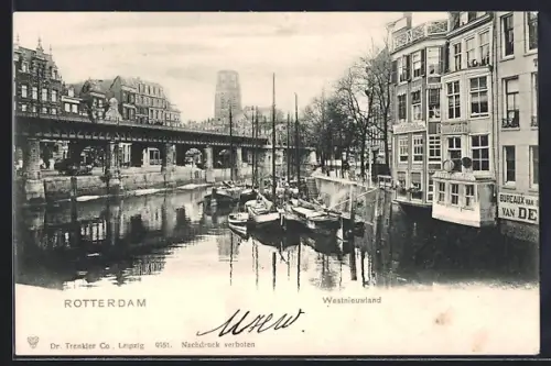AK Rotterdam, Westnieuwland
