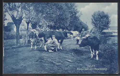 AK Delft, Kiekje aan den Parallelweg