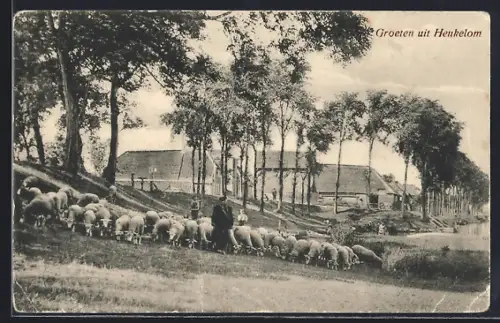 AK Heukelom, Ortspartie und Hirte mit Schafen