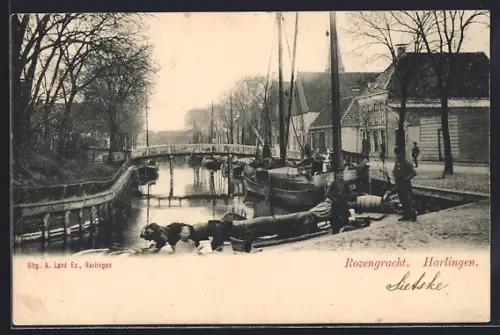 AK Harlingen, Rozengracht